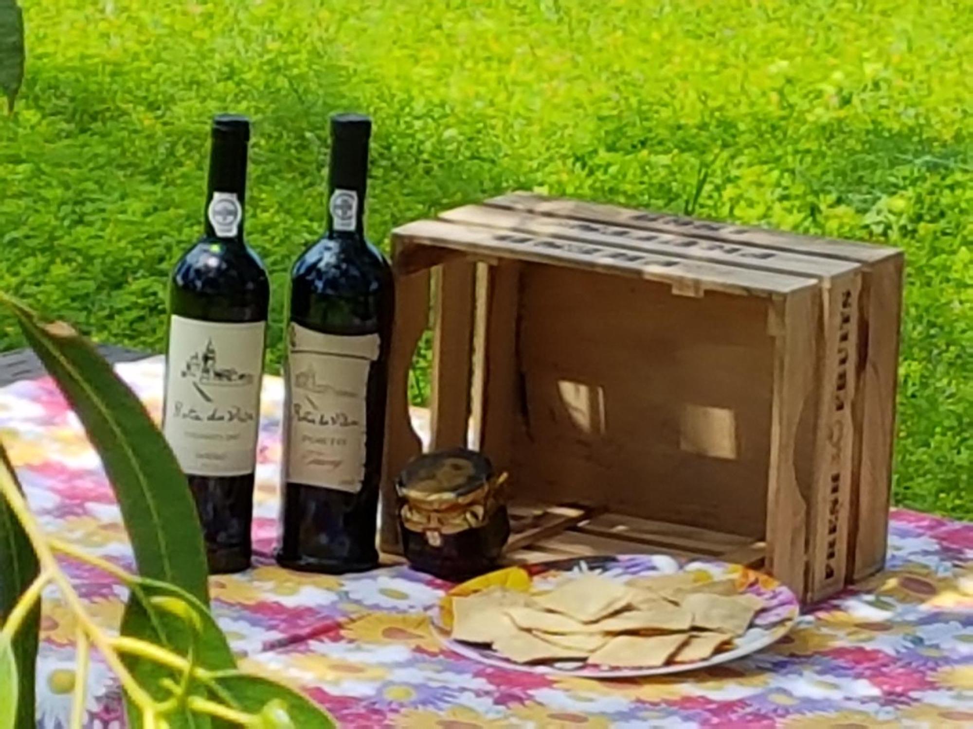 Glamping Frog Farm Villa Foz do Sousa Eksteriør bilde